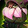 Dewy Vinepouch Icon