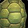 Shell Guard Icon