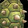 First Mate's Shellward Icon