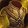 Ensemble: Highmountain Hides Icon