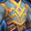 Dark Priest's Carapace Icon