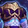 Consortium Brute's Chestguard Icon