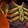 Desert Guardian's Breastplate Icon