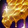 Magister's Spell Bee Comb Icon