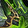 Slayer's Reins of the Felscorned Shrieker Icon