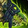 Felscorned Reins of the Vilebrood Vanquisher Icon