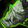 Morsel Icon