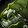 Reins of the Illidari Blightstalker Icon
