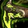 Gebbo's Backup Blaster Icon