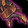 Inquisitor's Clutches of Madness Icon