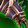 Living Weapon's Crushers Icon