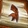 Winding Slitherdrake: Shark Finned Tail Icon