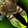 Venomous Gladiator's Rippers Icon