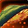Sporelord's Shroom Cap Icon