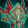 Ensemble: Vestments of Akil'zon's Chosen Icon