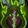 Spliced Fiendtrader's Transcendence Icon