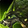 Reins of the Felscorned Wolfhawk Icon