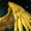 Solar Wrath Icon