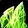 Fel-Corrupted Apexis Fragment Icon
