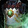 Ensemble: Xuen's Battlegear Icon