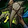 Slithering Savage's Gavel Icon
