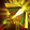 Gavel of Naaru Blessings Icon
