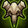 Lost Watcher's Remains Icon