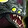 Fel-Afflicted Skyfin Icon
