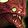 Reins of the Bloodtooth Mana Ray Icon