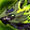Hexflame Reaver Icon