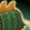 Green Dragon Tail Costume Icon