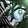 Rotting Voidfin Icon