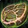 Rotten Supplies Icon