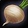 White Turnip Icon