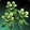 Silkweed Icon