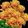 Bouquet of Orange Marigolds Icon