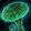 Cleansing Spores Icon