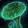 Living Spores Icon