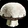 Mushroom Toss Icon