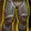 Adventurer's Warbound Legs Icon