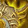 Chargers of the Lucent Battalion Icon