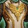 Blind Oath's Raiment Icon