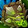 Venomous Gladiator's Shield Icon