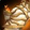 Lamplighter's Pauldrons Icon