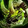 Jaws of the Skulking Viper Icon