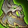 Hollow Sentinel's Perches Icon