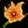 Dried Fire Flower Icon