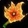 Burning Blossom Icon