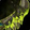 Malignant Toothed Edge Icon
