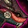 Crimson Venomfang Icon